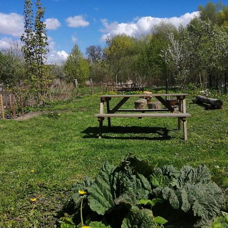 Zielony Domek W Sztynorcie Sztynort Esterno foto