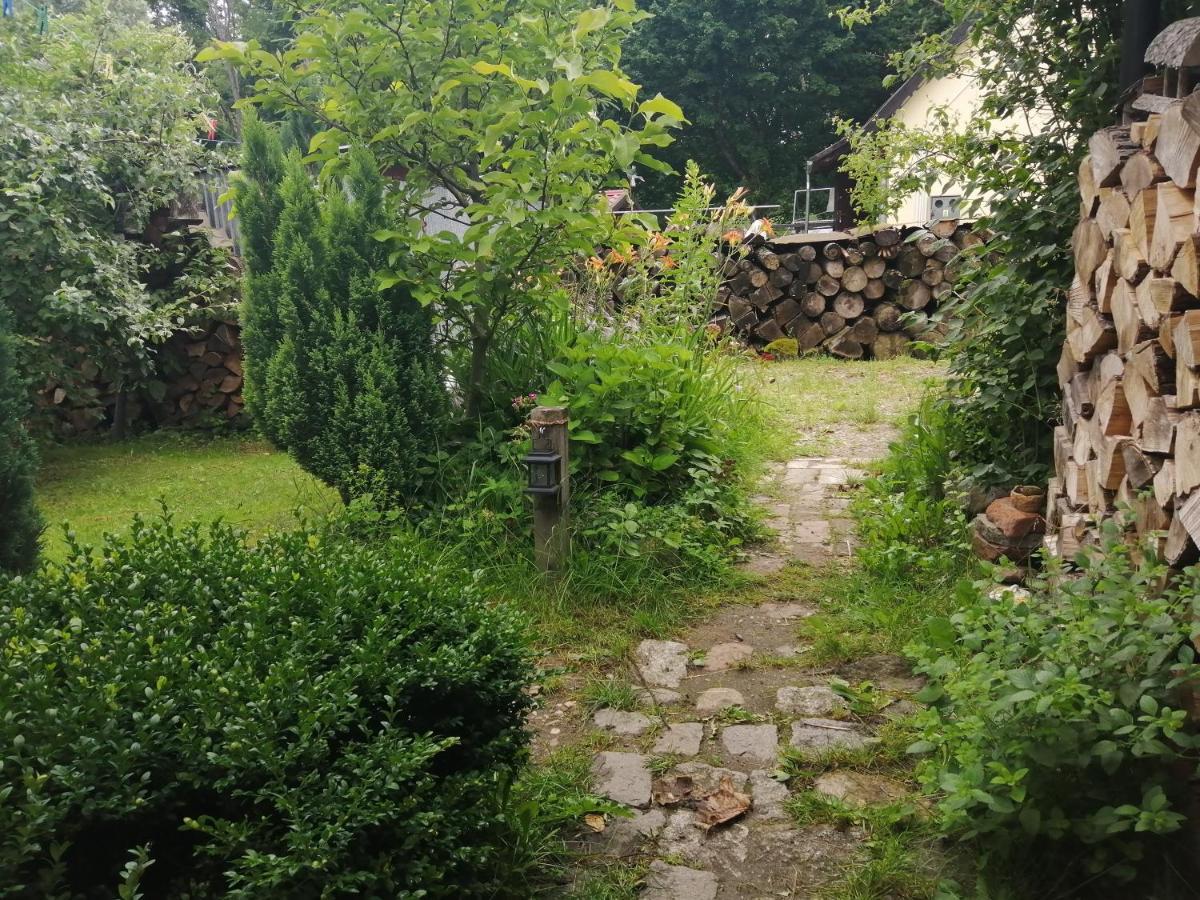 Zielony Domek W Sztynorcie Sztynort Esterno foto