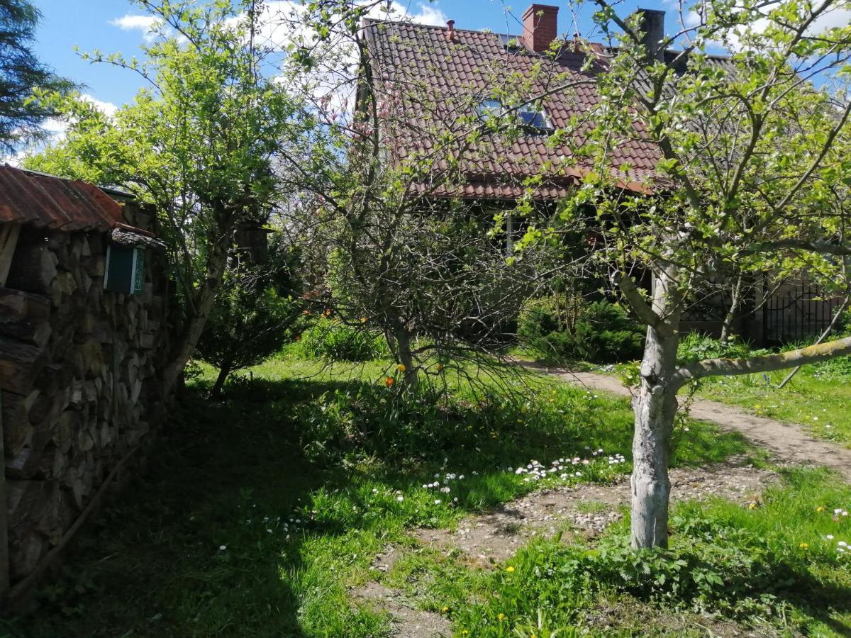 Zielony Domek W Sztynorcie Sztynort Esterno foto